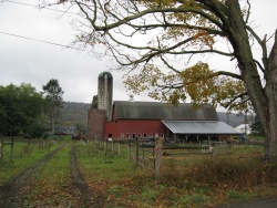 A farm in Athens Township