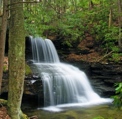 Round Island Run Falls within Sproul State Forest