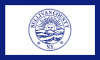 Flag of Sullivan County, New York
