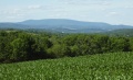 2Picture 315.jpg