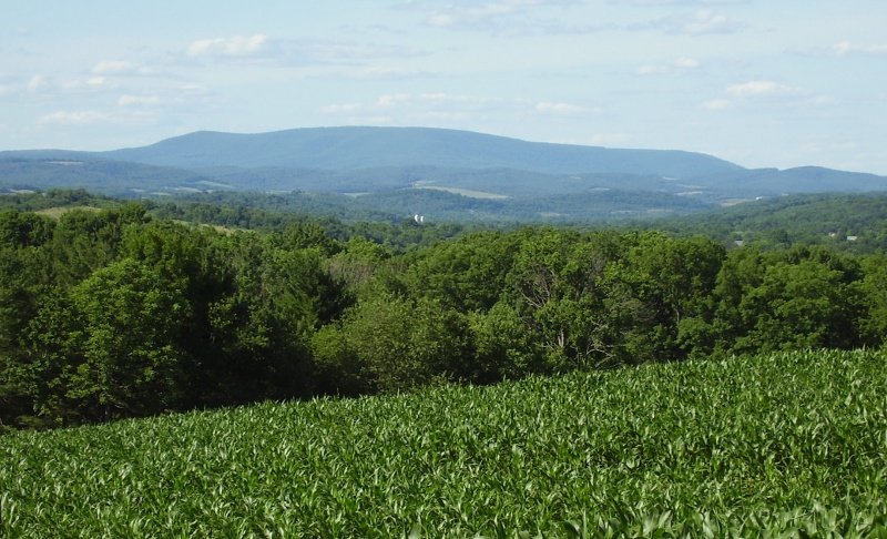 File:2Picture 315.jpg