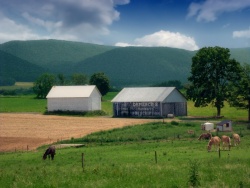 a farm in the Nittany Valley in the township