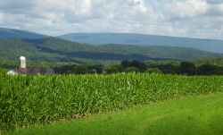 Jacks Mountain as viewed from Shirleysburg, Pennsylvania.jpg