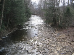 Larrys Creek passing through Anthony Township